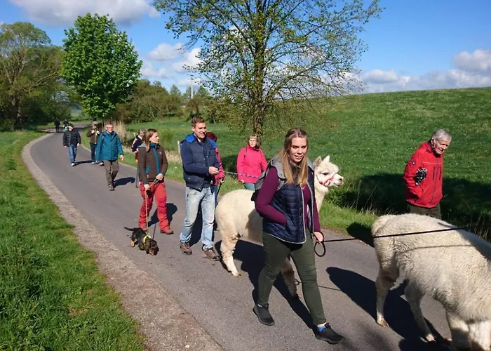 Alpaka-tipi-park Luxusní stan
